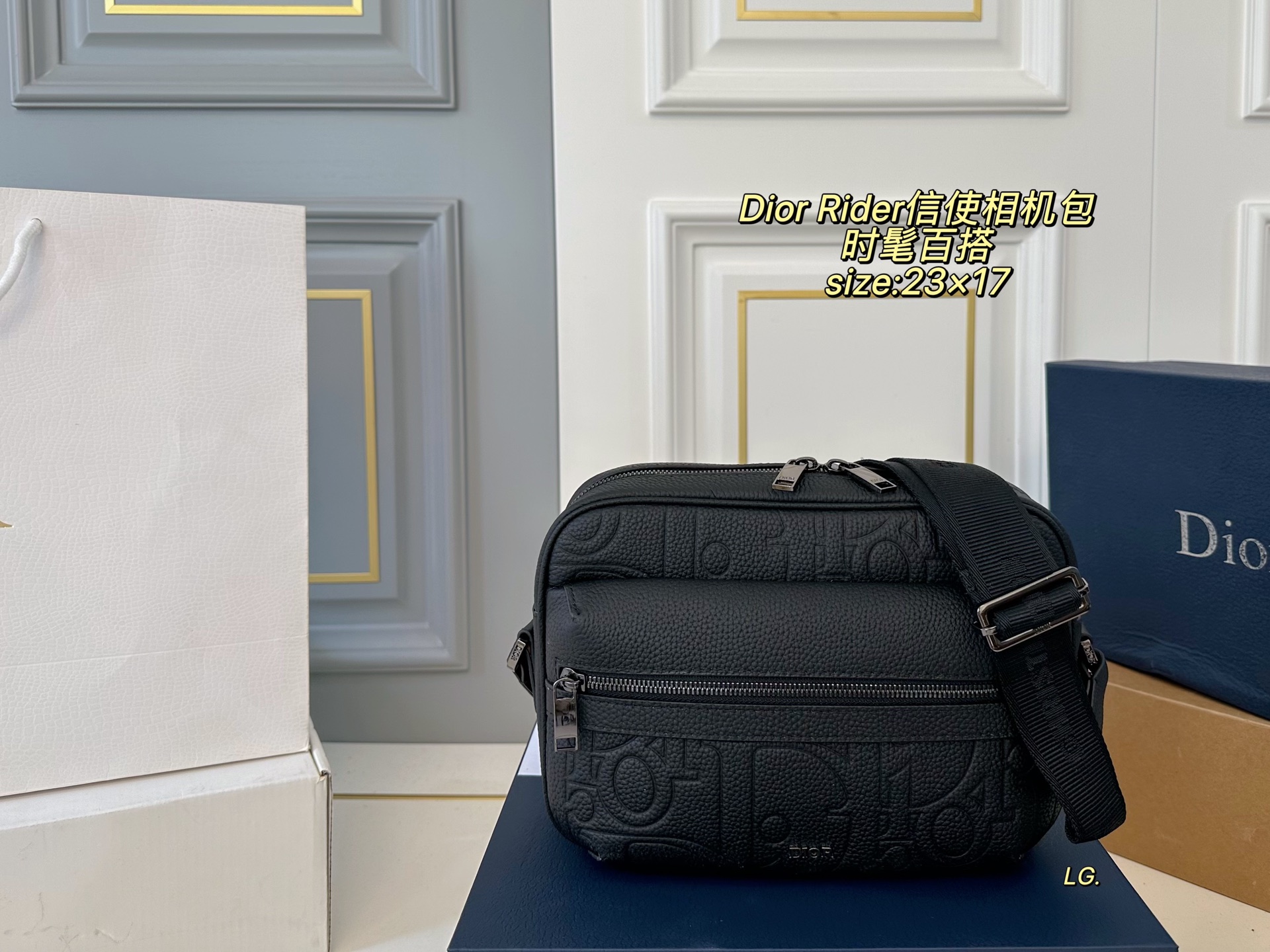 DIOR bag 101